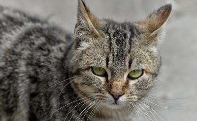 初中化學計算題的類型總的來說還是比較多的...