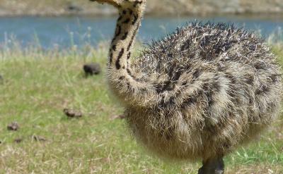 有些同學(xué)遇到不會做的題就緊張,不用緊張的...