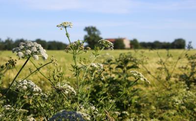 �����dȤ�M�����ڽ���