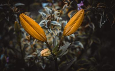 Ҏ(gu)r(sh)g(ni)](mi)ֹͣ