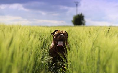 1�����ջ����Ĕ�(sh��)�W(xu��)֪�R