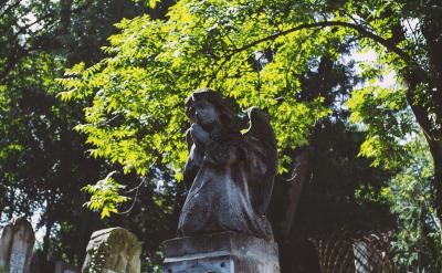 在生活中,每個人都會在不經(jīng)意時錯過一些美...