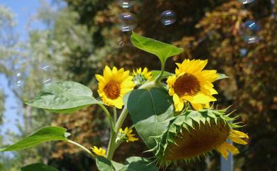 1. �������õİ�ӡ����L��(y��ng)ԓͨ�^�Լ�����...