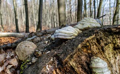 ��x��Ӣ�Z�W����һ����Ҫ���棬��x������...