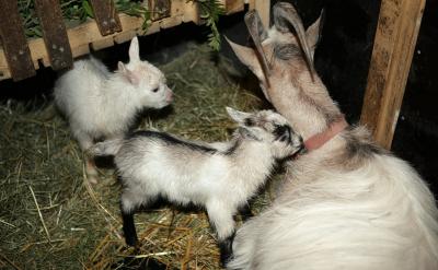 5��늹��ʵĜy��P = UI