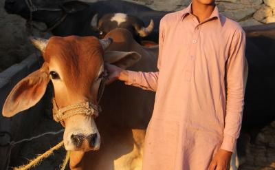 安慰和了解事情的原委