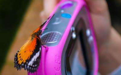 ԆԪ(f)(x)w(f)(x)oB͸W(xu)...