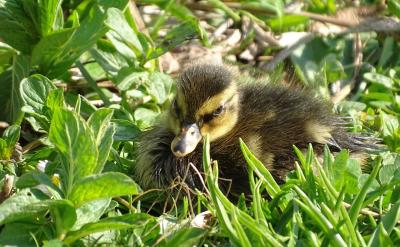 ���J���R��˼���x�܌W��ָ���҂�����Փ�ϡ�...