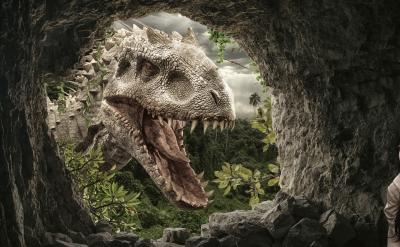 四、朗讀全詩,理解感悟