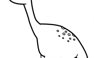 ���B���ӵĺ�����