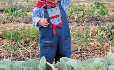 7、激勵主動學習。在教學過程中,教師把一...