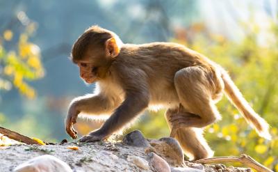 ����׌���Ӱ���һ�ο�ԇ���Լ��������Լ���...