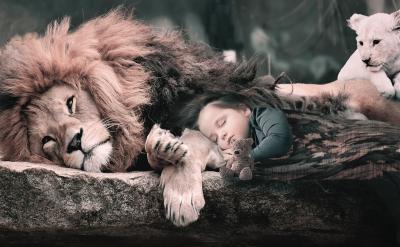 �ώ�߀�����{(di��o)���Լ����W���Ŀ��Ƴ̶ȣ�����...