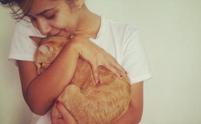 �����ûؑ�����������X�������������˼��