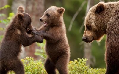 6.(du)ӳݸӰVϾW(wng)VΑ...