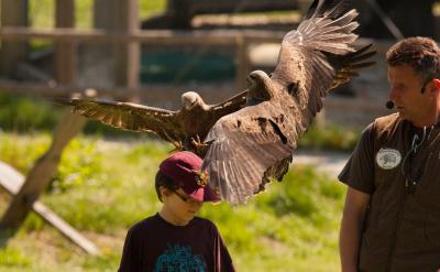 3. 其他部位的疲勞