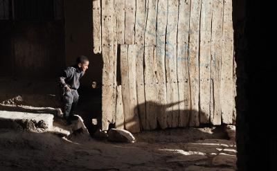 制作復(fù)習(xí)資料:制作復(fù)習(xí)卡片、思維導(dǎo)圖、時...