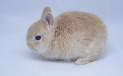 �������o