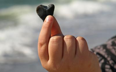 富蘭克林似乎很高興,并開始了他的自由生活...