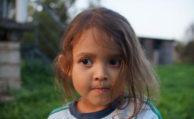 創造力與努力:追求成功的捷徑