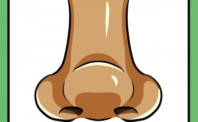 1、 簡介背景:當(dāng)時(shí)李白25歲離開家鄉(xiāng)...