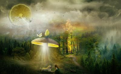 語文:給學生更大的選擇空間