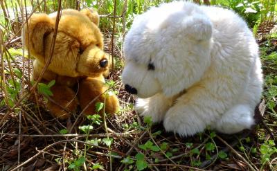 5. 培養責任感的重要性