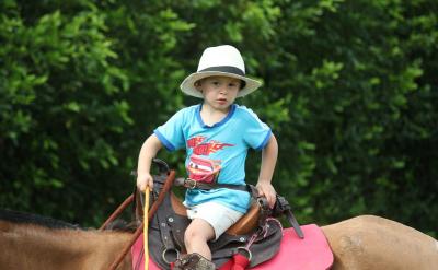 �ġ��L�ڸ�ۙ�cЧ���u��