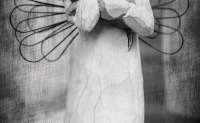 4�����x���}�������W(xu��)��Ҫ�����Ӣ�Z�ɿ���...