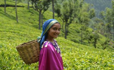 ���󌣘I����