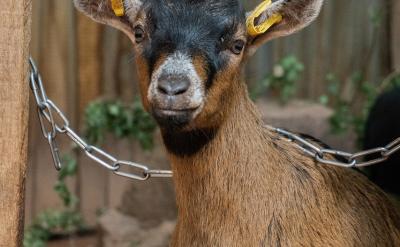 5. ���M����ĸ��ԓ���ַe�O���ϵ��đB����...