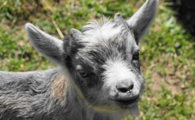 家庭關系不融洽