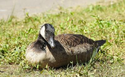 ���÷e�O�đ��P��ʩ