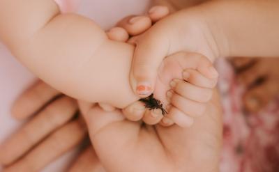 2、學生對數學的興趣是否增強