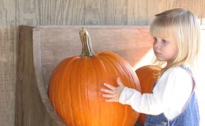 ͥǺӳLҪLԓ麢...