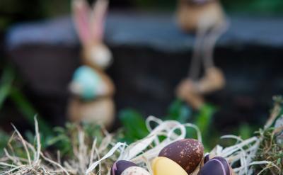 ��ؐ�Ĺ��¸��V�҂���ͨ�^�ƶ������ĕr(sh��)�g...