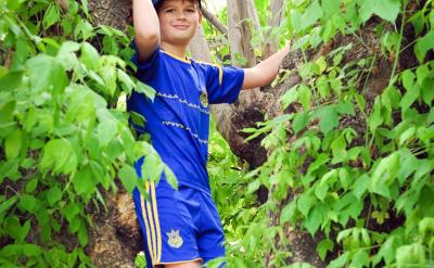 ��θĵ����ӁyͿ�f�ĉ����T��