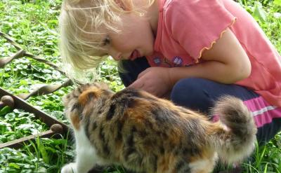 教會孩子善于明白地表達自己的痛處,說清為...