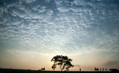 此外,從心理學(xué)角度看,青少年遭受欺凌暴力...