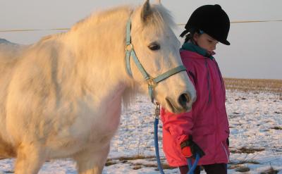 ���������g���}�����f�ǺͲ���}�����...