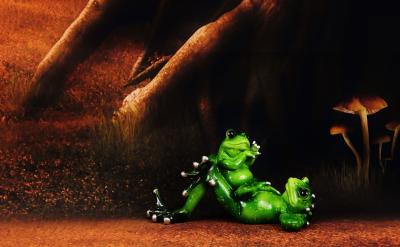 英語的語法規則很多,不規則現象也不少,而...