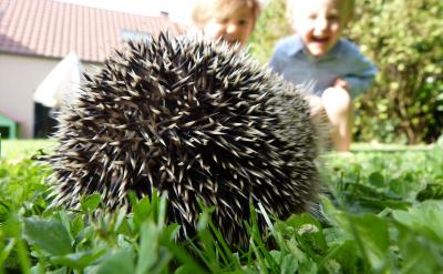 ��ؐ���µ�һ�꣬�ְ֋������Ե��������҂�...