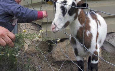外婆頗不以為然:現(xiàn)在的孩子,都被慣得四體...