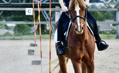 ���⣬�p�s��ԇ��߀���V�������ڭh���O�y��...