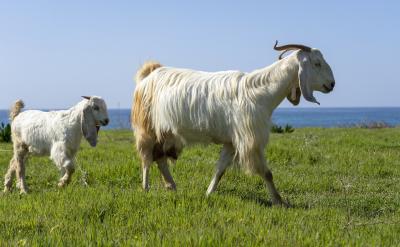 eĕrgɹҪѕrg...