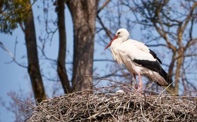 有效溝通助力孩子學習和成長