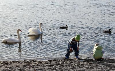 мɲҪӲӾԴķ^҂Լγ...