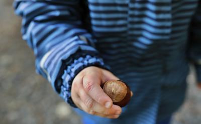 ÿ���ƽ������ÿ���}�ķ֔��Σ����^�}�ĵ�...