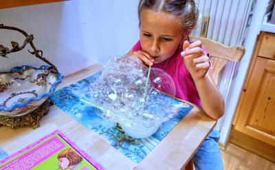 2.2ͨ�^���팍(sh��)�(y��n)�n�Ľ̌W(xu��)��(n��i)�ݵĸ������B(y��ng)...