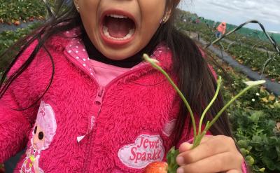 �@Щ��ĸ�Ƿ�׌�������_ʼ�J���֣������ְl...